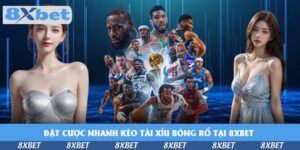 dat-cuoc-nhanh-keo-tai-xiu-bong-ro-tai-8xbet
